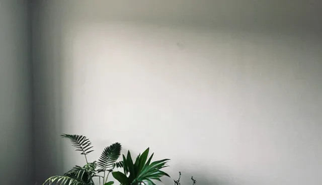 适配方案检查要点解析:如何优化响应较为的网络较为完善